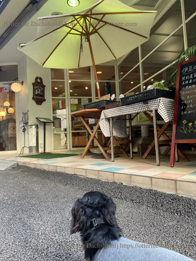 Blog image_犬と旅行_犬連れ旅行_202208_Shizuoka Atami_静岡熱海_Cafe&Restaurant Nagisa_outside_外観